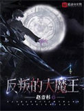 反叛的大魔王主角介绍